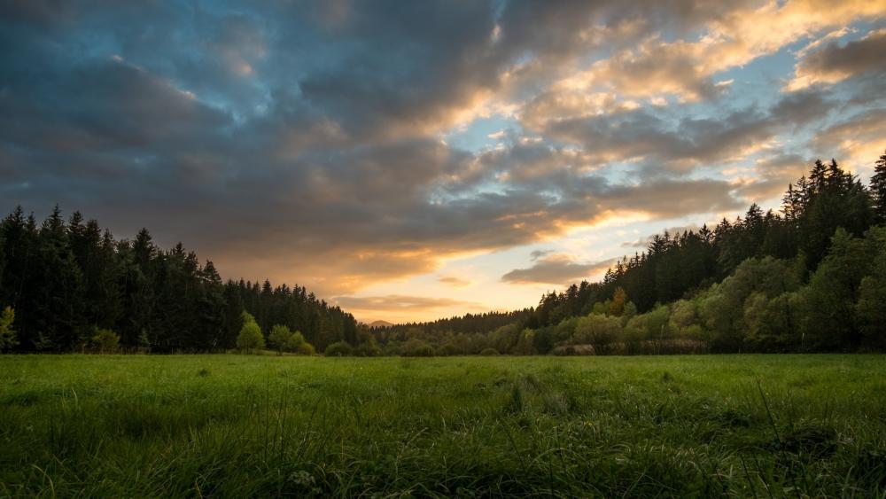 Serene Sunset Over Lush Green Meadow wallpaper