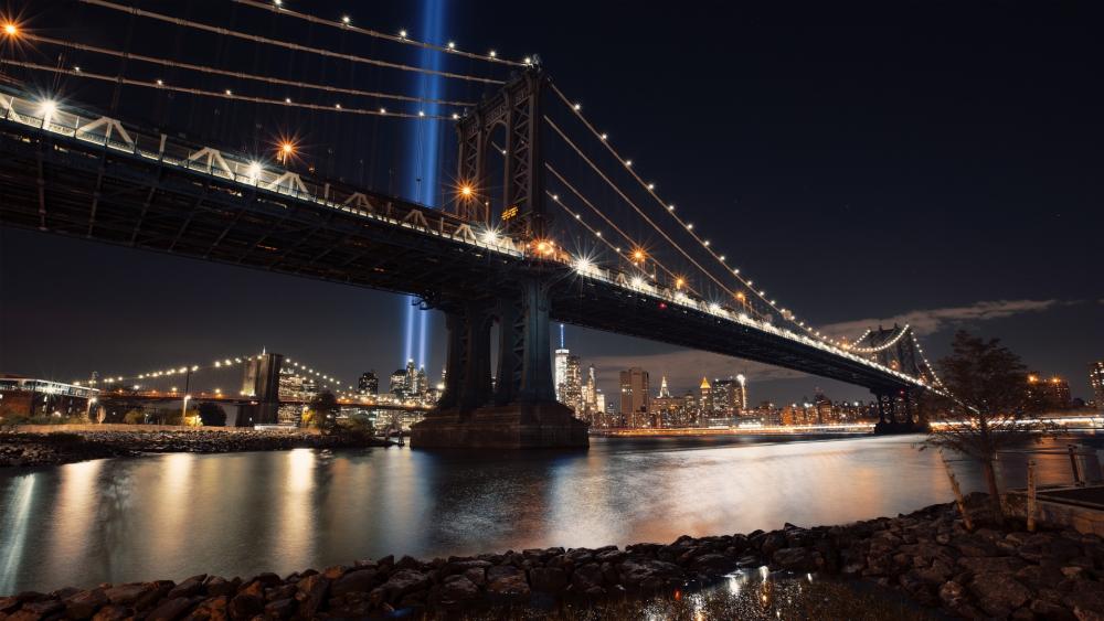 Manhattan Bridge from Main Street Park at night wallpaper