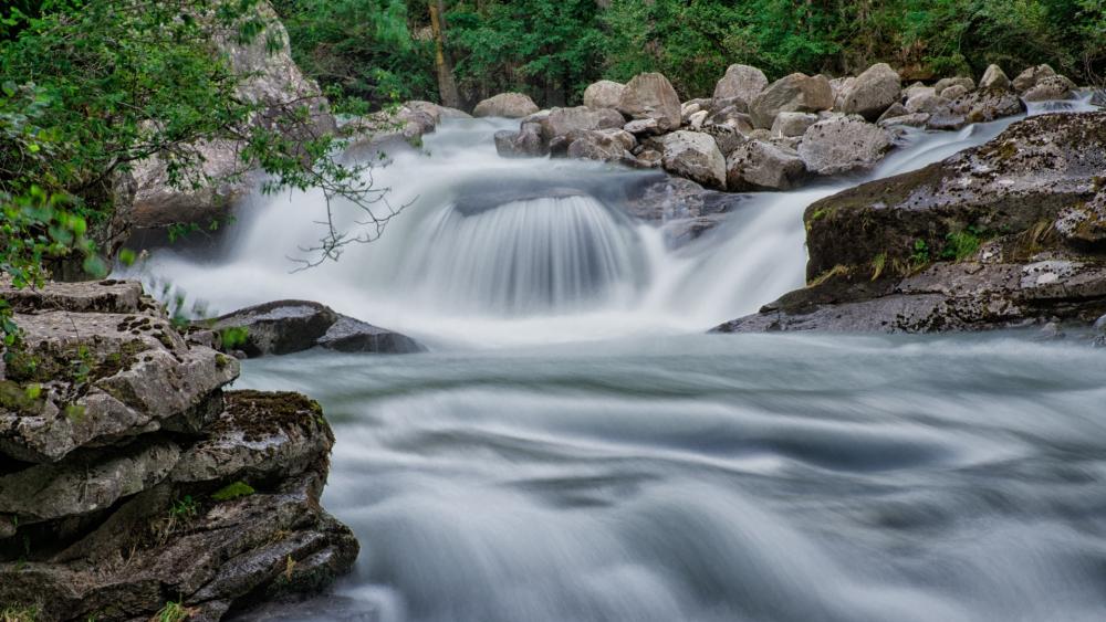 Tranquil Flow of Nature's Stream wallpaper