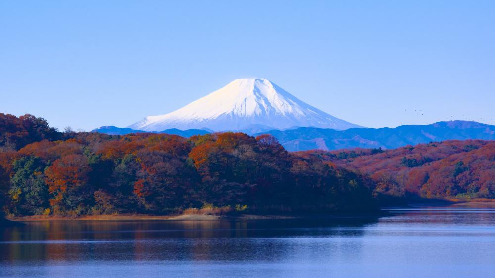 Mount Fuji and Lake Tanuki at fall wallpaper