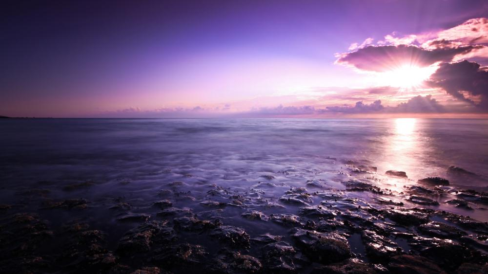 Purple seascape wallpaper