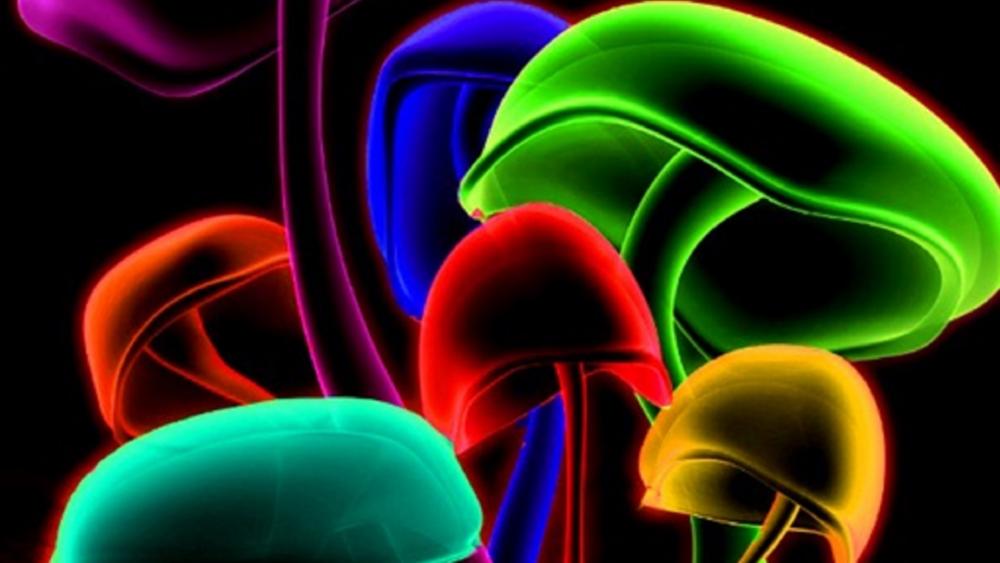 Neon glowing mushrooms wallpaper