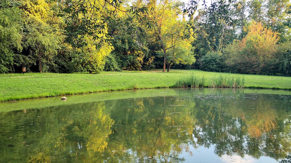 Serene Reflection of Nature's Beauty in Autumn wallpaper