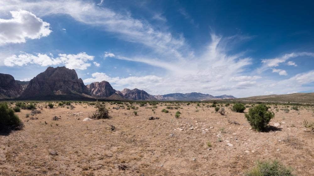 Red Rock Canyon National Conservation Area wallpaper