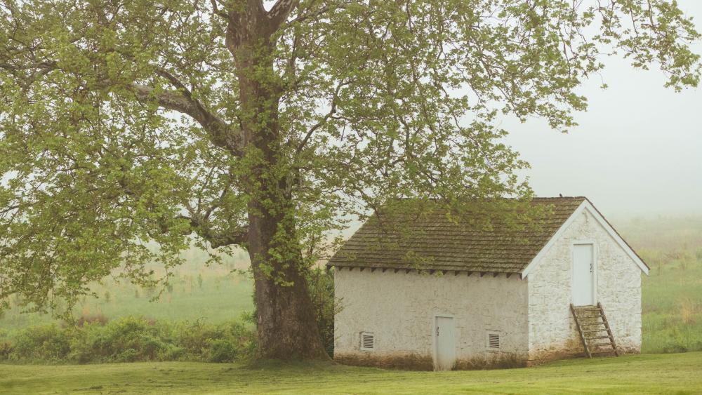 Misty Morning at the Rural Cottage wallpaper