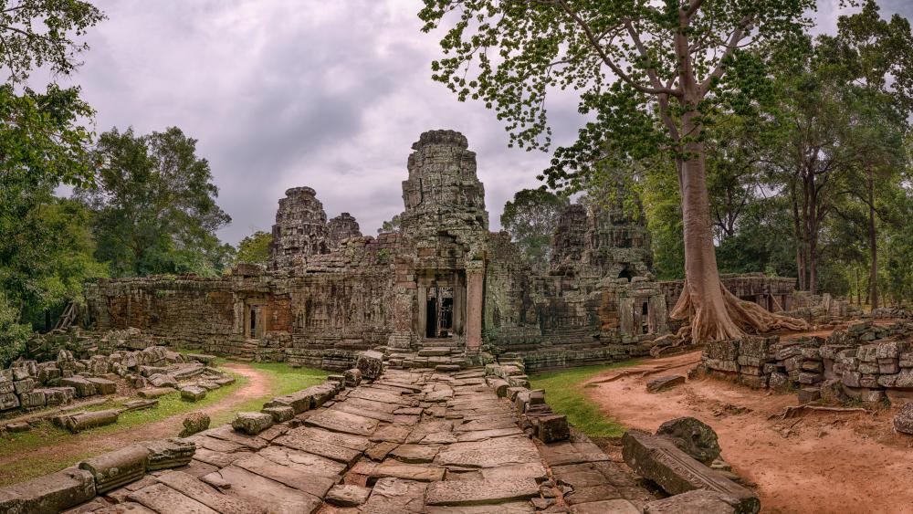 Cambodia temple ruins wallpaper