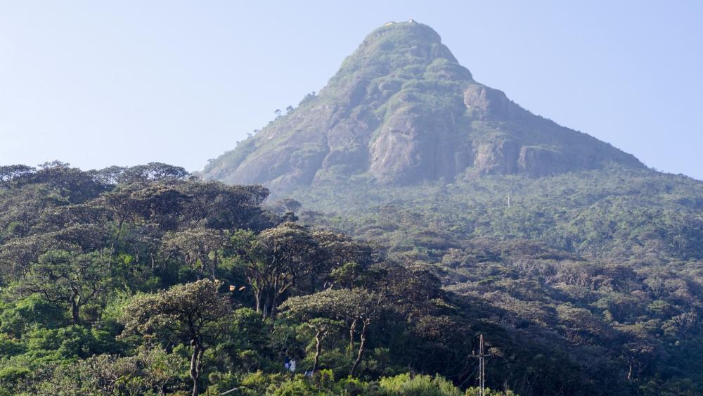 Majestic Mountain Rise in Lush Greenery wallpaper