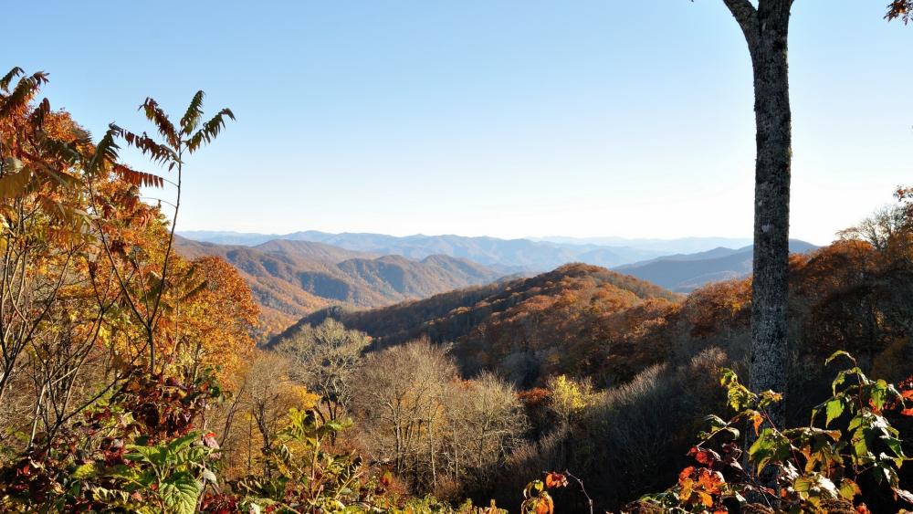Autumn Serenity in the Mountains wallpaper