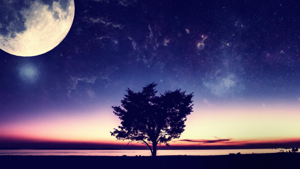 Mystical Moonlight Silhouette Tree wallpaper