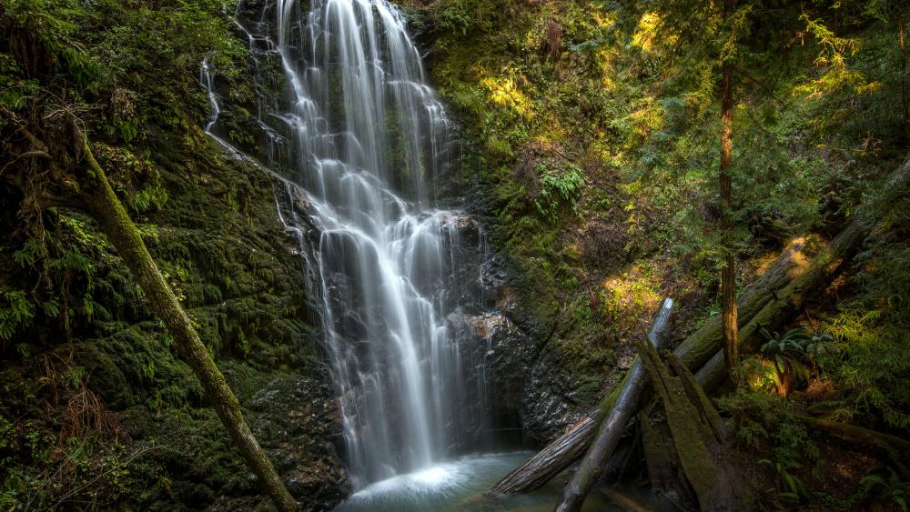 Berry Creek Falls, Big Basin Redwoods State Park wallpaper