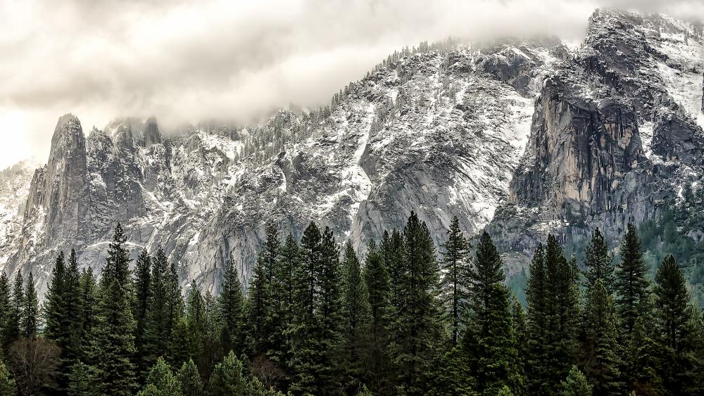 Cloudy Yosemite National Park wallpaper