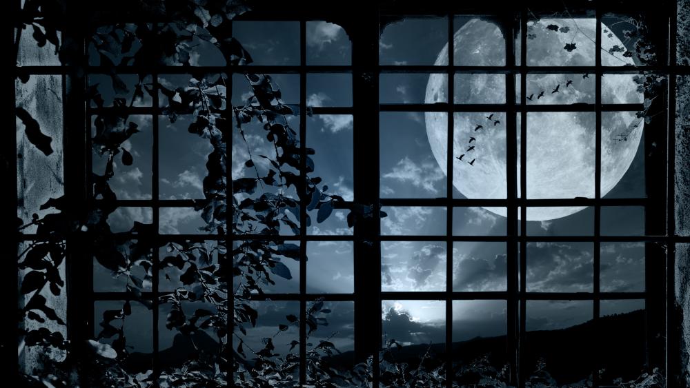 Full moon from a window wallpaper