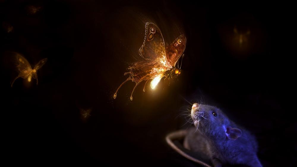 Glowing butterfly and a rat wallpaper