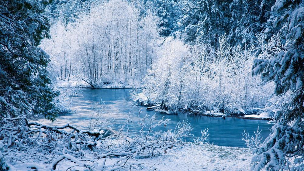 Bluish winter landscape wallpaper