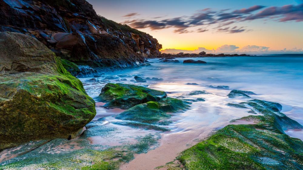 Curl Curl Beach sunrise - Sydney, Australia wallpaper
