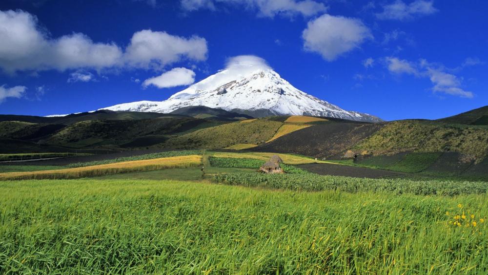 Chimborazo volcano wallpaper