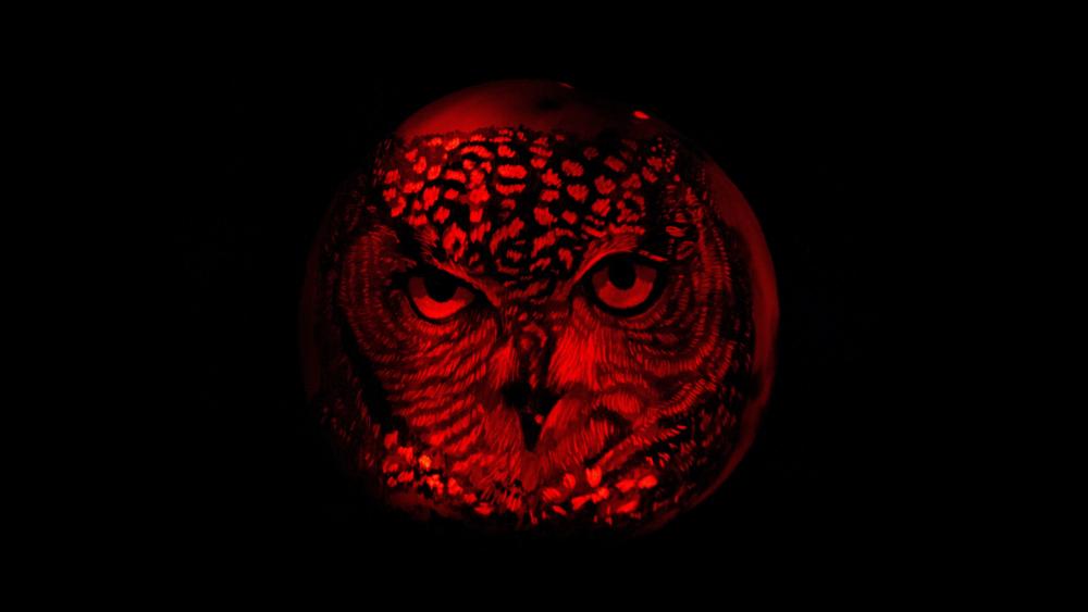 Red owl wallpaper