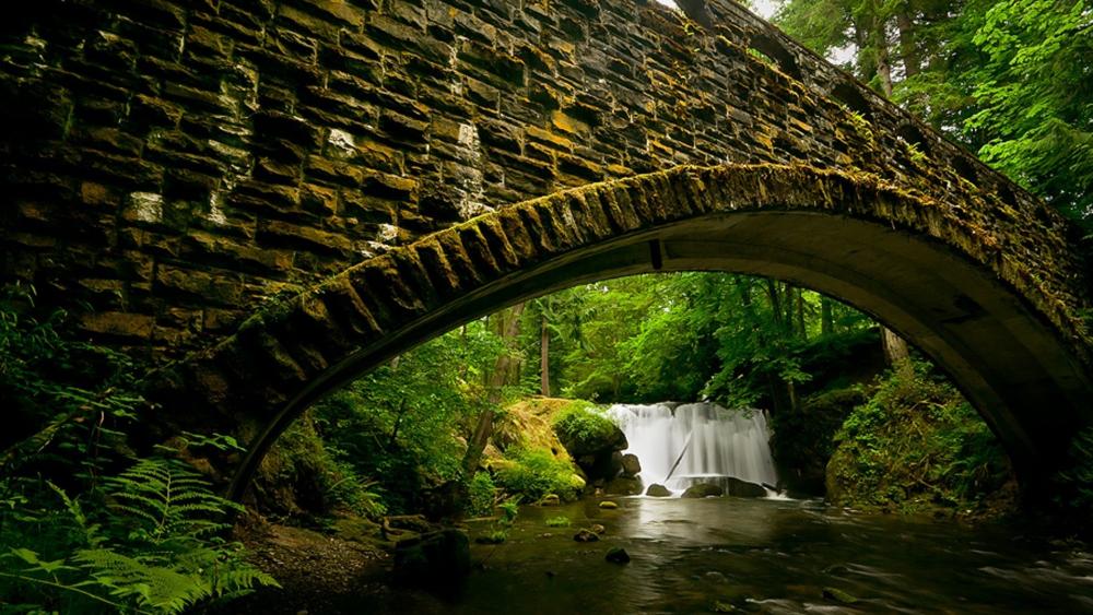 Enchanted Forest Bridge Over Serene Waterfall wallpaper