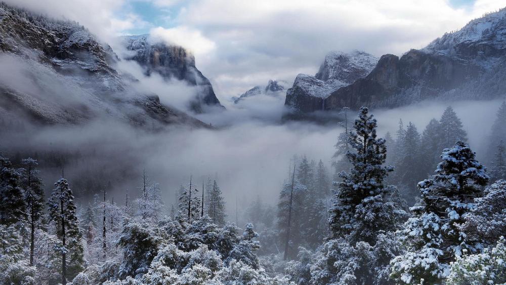 Winter fog in the Yosemite Valley wallpaper