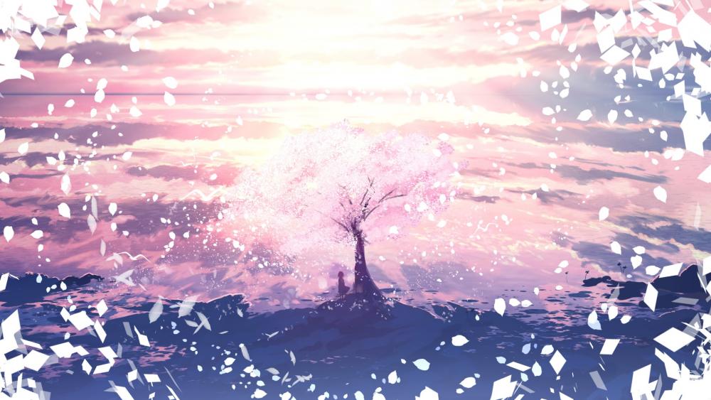 Whispers of Spring Beneath Cherry Blossoms wallpaper
