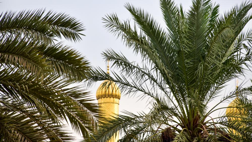 Imam Husayn Shrine within the palm trees wallpaper