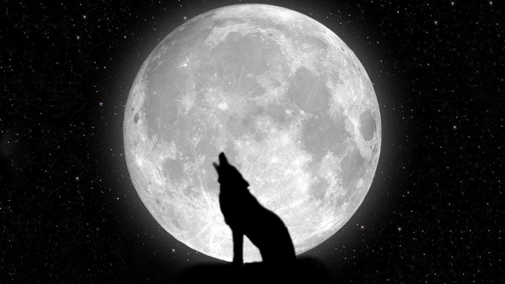 Wolf howling at the moon wallpaper