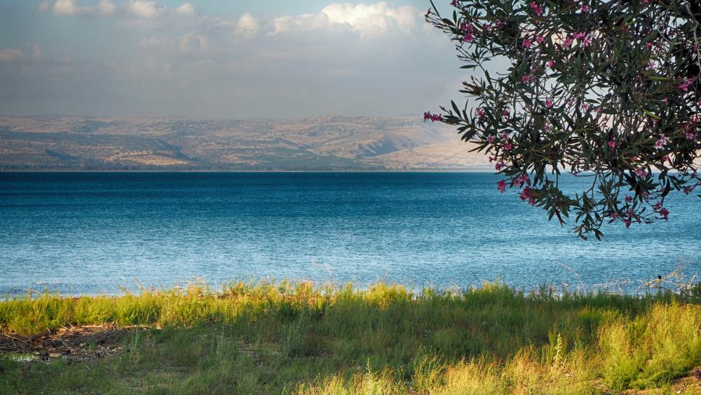 Sea of Galilee wallpaper