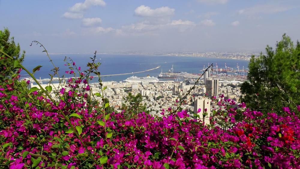 Haifa cityscape wallpaper