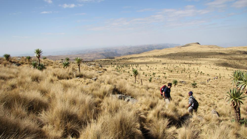 Ethiopian landscape wallpaper