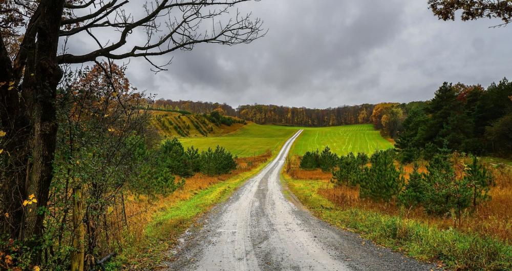 Serene Country Road Amidst Autumn Colors wallpaper