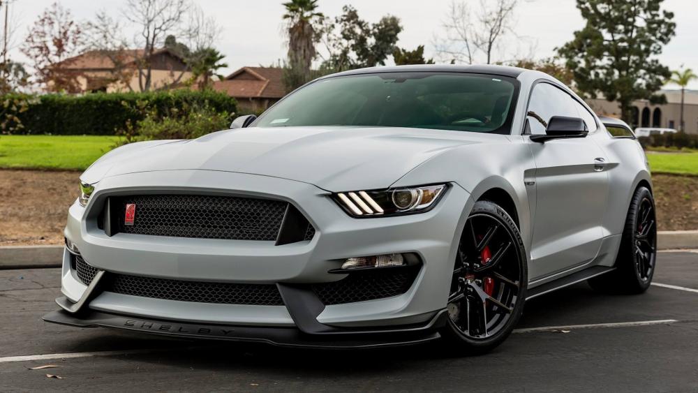 Sleek and Powerful Shelby Mustang Wallpaper wallpaper