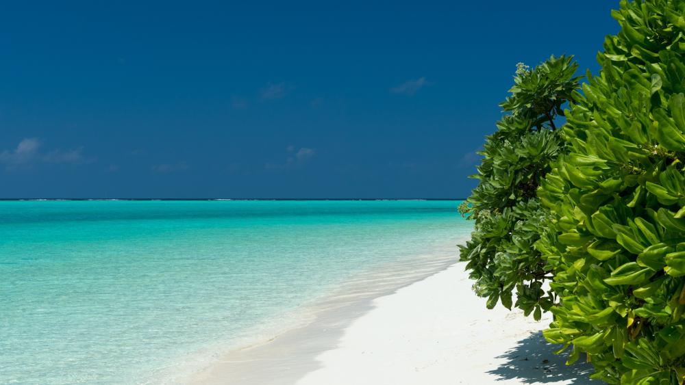 Turquoise waters of Maldives wallpaper
