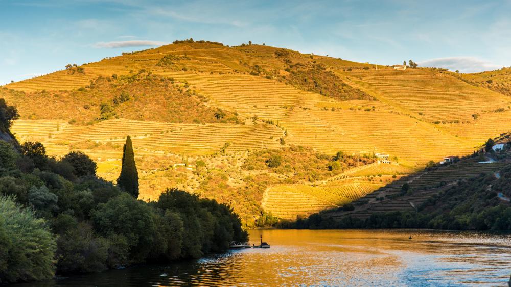 Douro River valley wallpaper