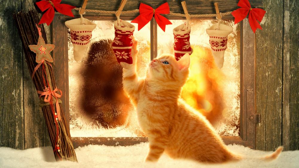 Kitten's Christmas Surprise wallpaper