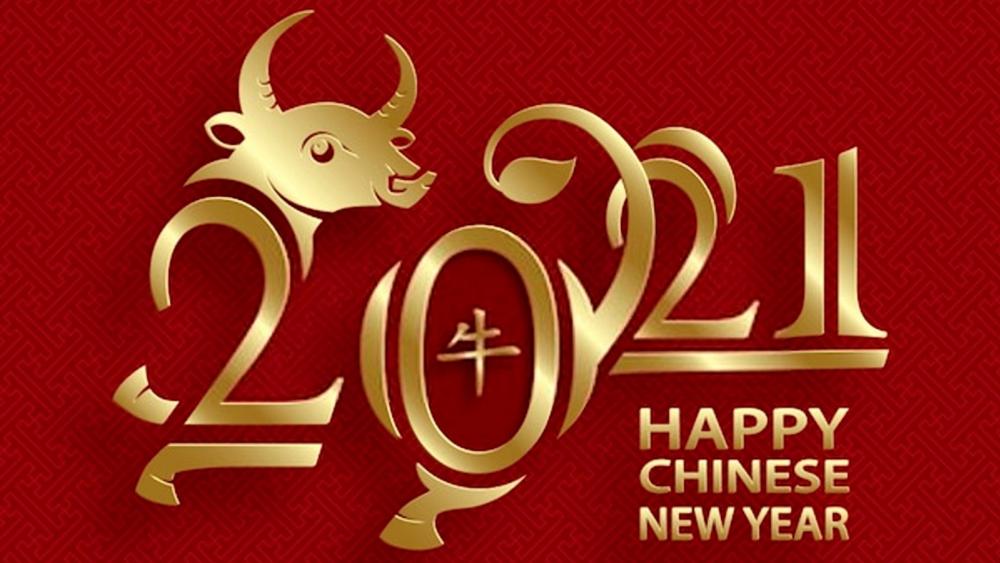 Happy Chinese New Year wallpaper