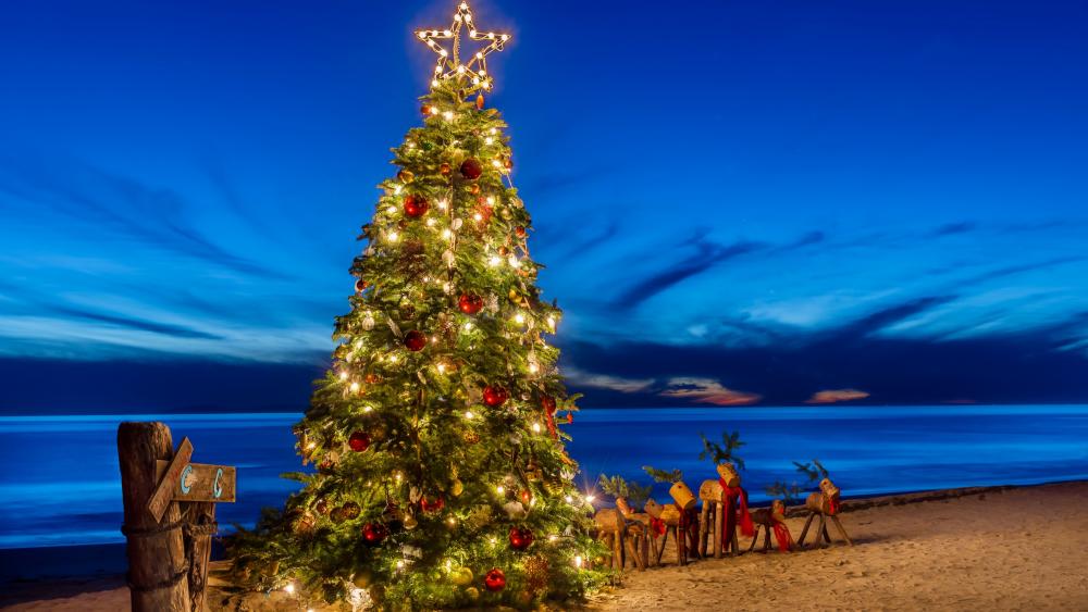 Christmas tree on the beach wallpaper