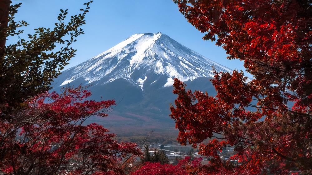 Mt. Fuji from Kawaguchiko Tenjozan Park wallpaper