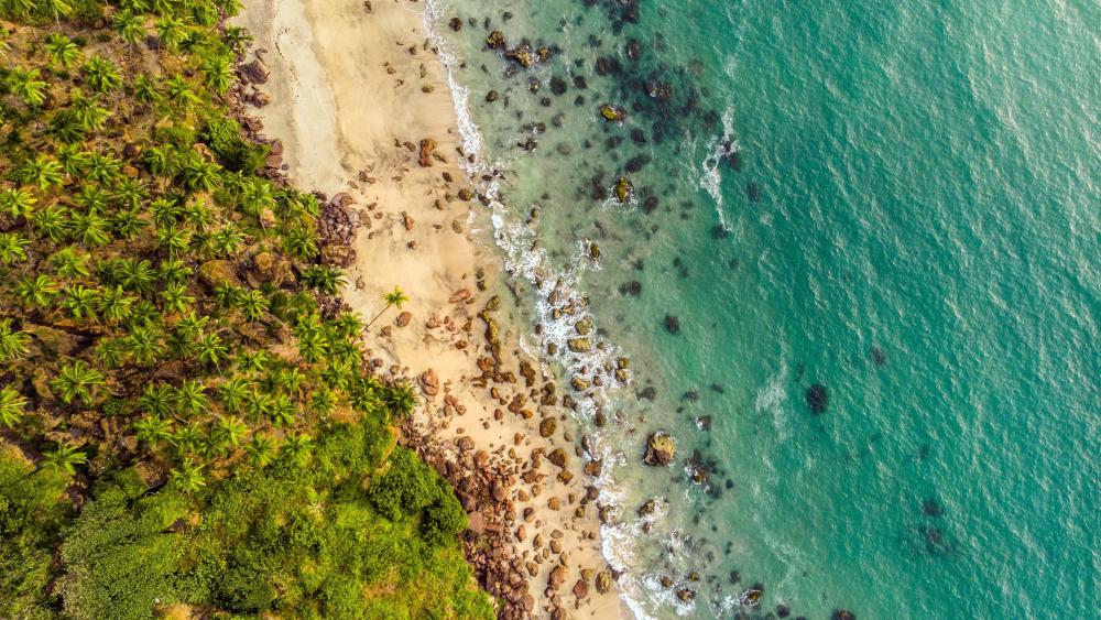 Tropical beach from above wallpaper