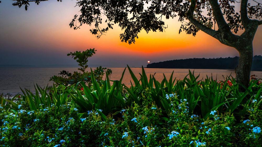 Serene Sunset Over Tranquil Waters wallpaper