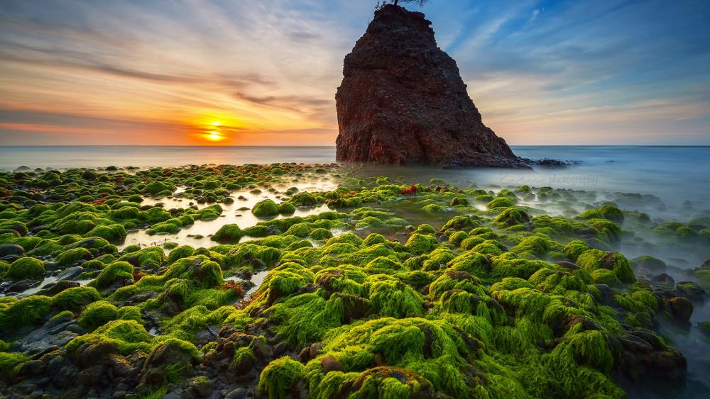 Batu Luang beach wallpaper