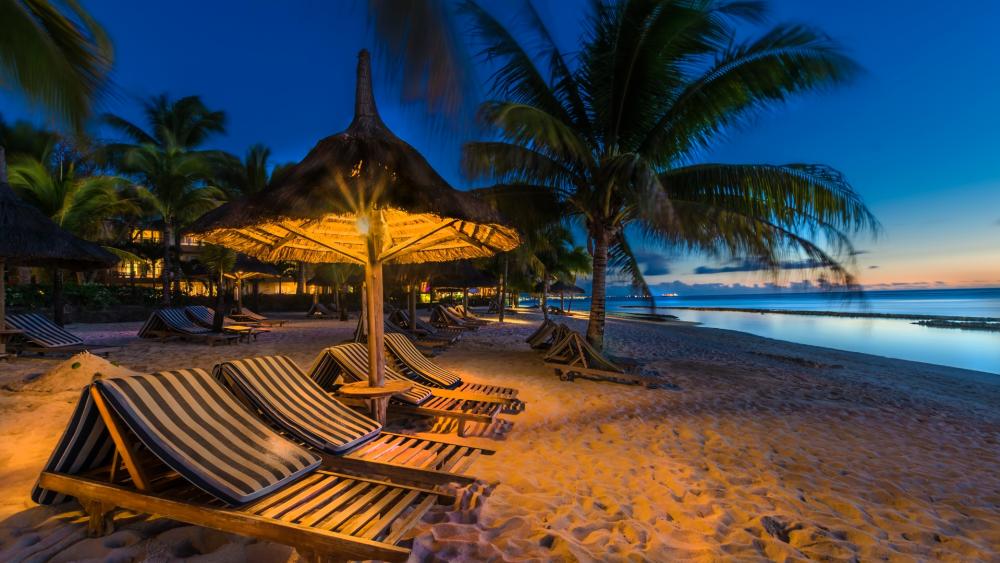 Tropical Summer Night Beach Paradise wallpaper