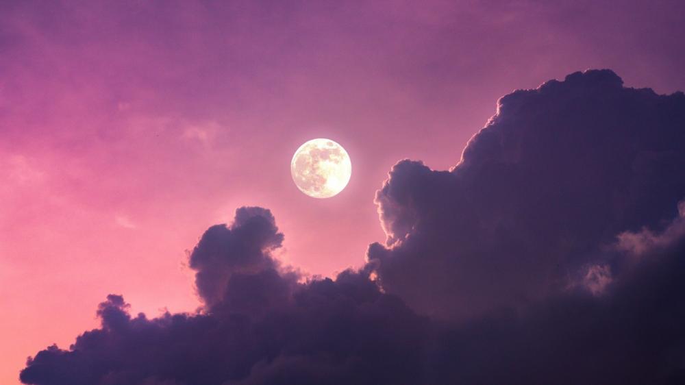 Purple moonlight wallpaper