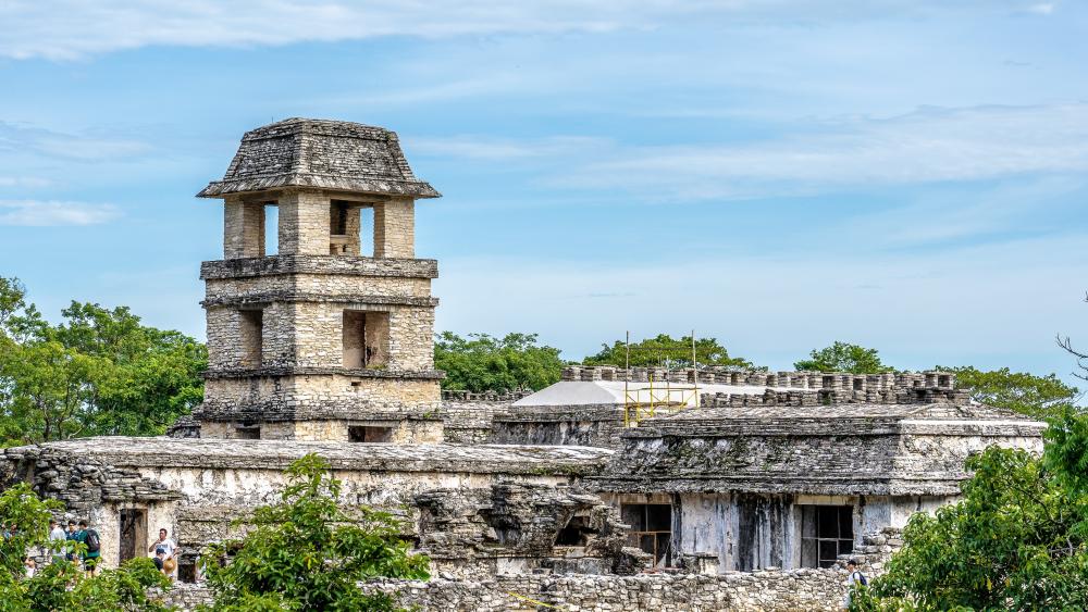 The Palace complex in Palenque wallpaper