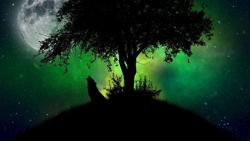 Full Moon Wolf Howling at Midnight wallpaper