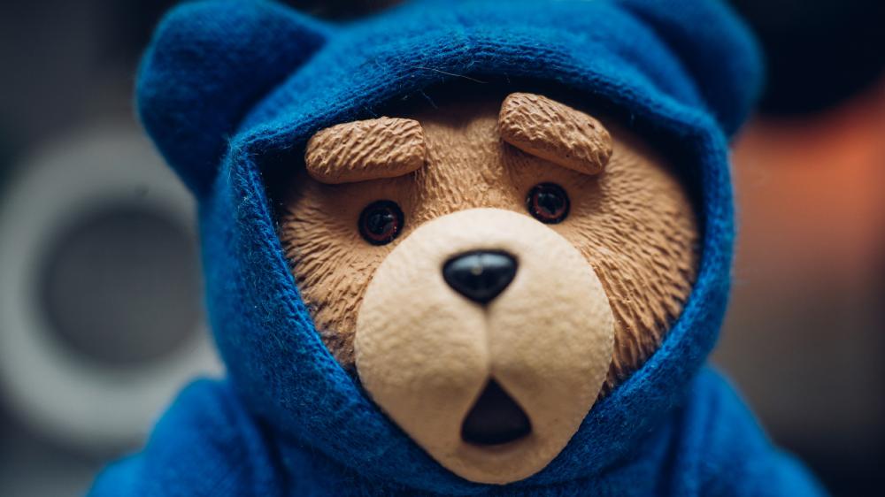 Surprised Teddy bear in blue hoodie wallpaper