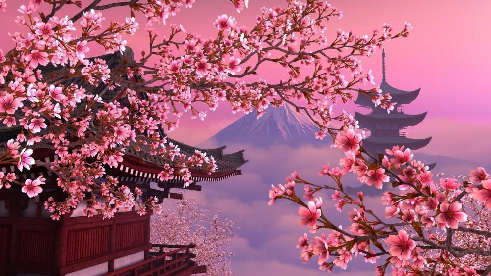 Sakura Season's Dreamy Embrace wallpaper
