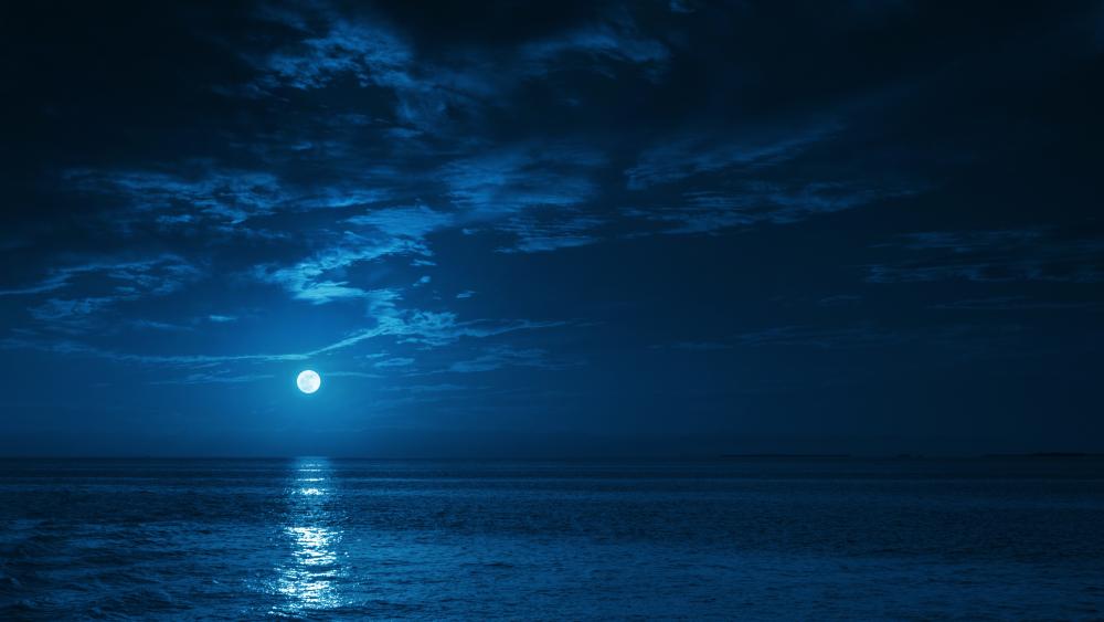 Moonlight Serenade Over Tranquil Waters wallpaper