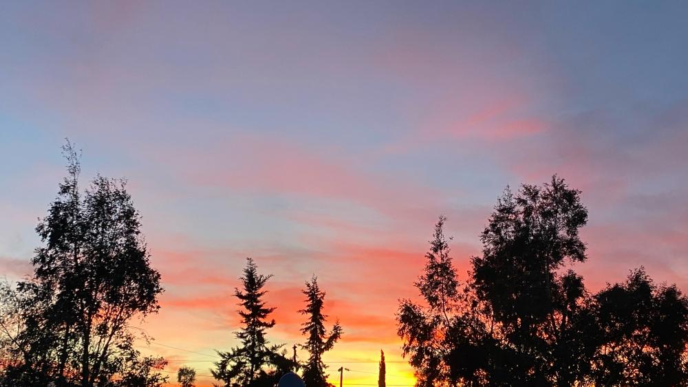 Serene Sunset Silhouette Over Treeline wallpaper