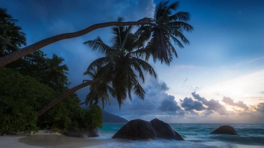Seychelles twilight wallpaper
