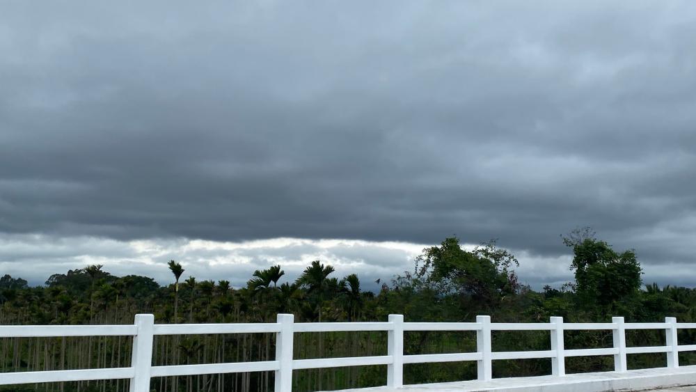 Calm Overcast Sky and Lush Greenery Scene wallpaper